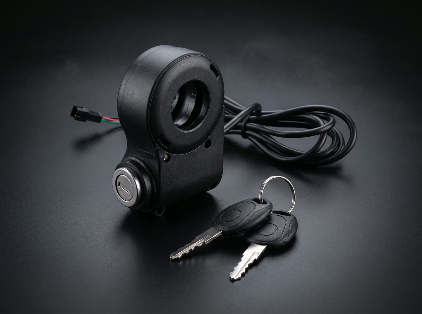 Key ignition switch with two keys
