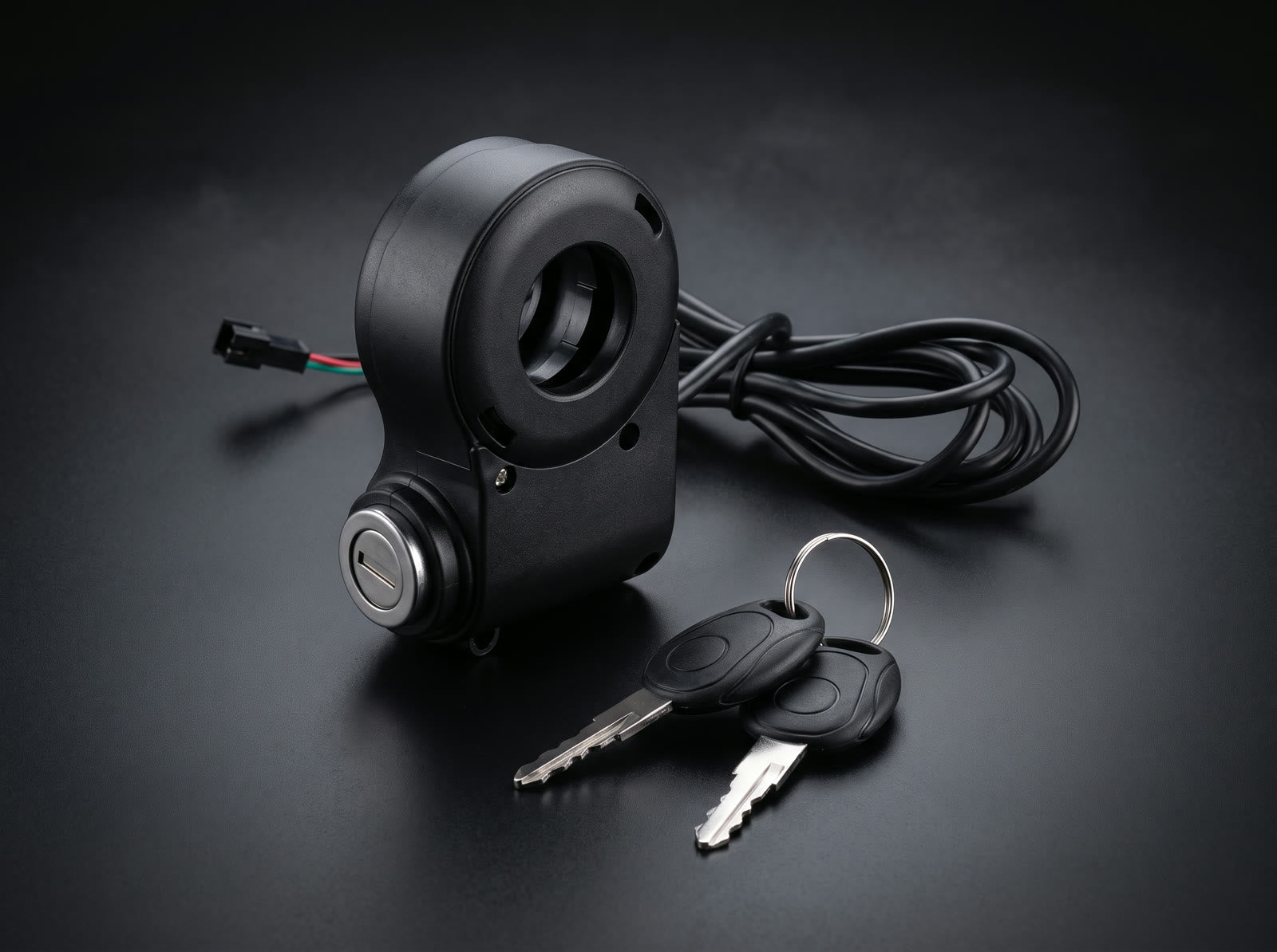 Key ignition switch with two keys